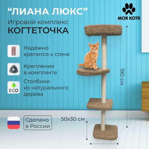 Настенный комплекс когтеточка для кошек Моя Котя Лиана Люкс с гамаком, бежевый, хлопковый канат