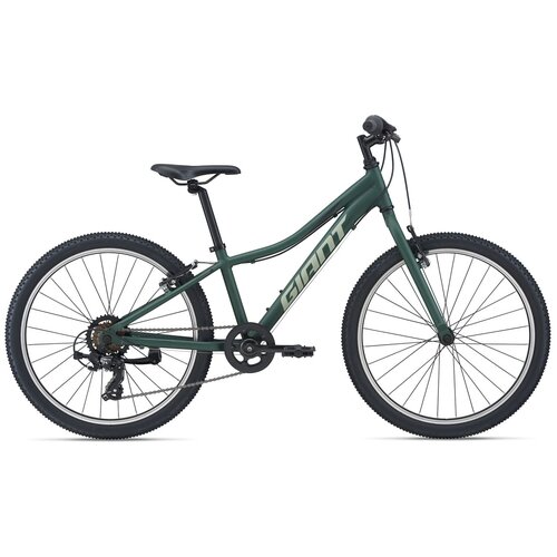 Горный (MTB) велосипед Giant XtC Jr 24 Lite (2021) зелeный (требует финальной сборки) велосипед giant xtc jr 20 2021