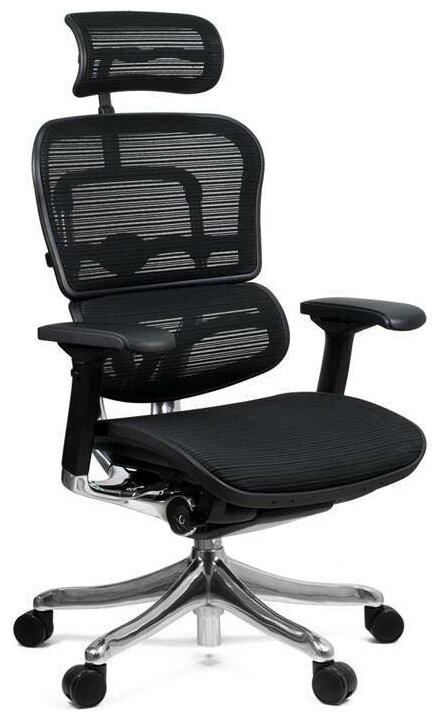 Компьютерное кресло Comfort Seating Ergohuman Plus для руководителя, обивка: сетка