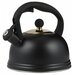 Чайник со свистком Otto 2 л, цвет черный, материал нержавеющая сталь, Typhoon, 1401.173V