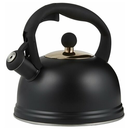 Чайник со свистком Otto 2 л, цвет черный, материал нержавеющая сталь, Typhoon, 1401.173V