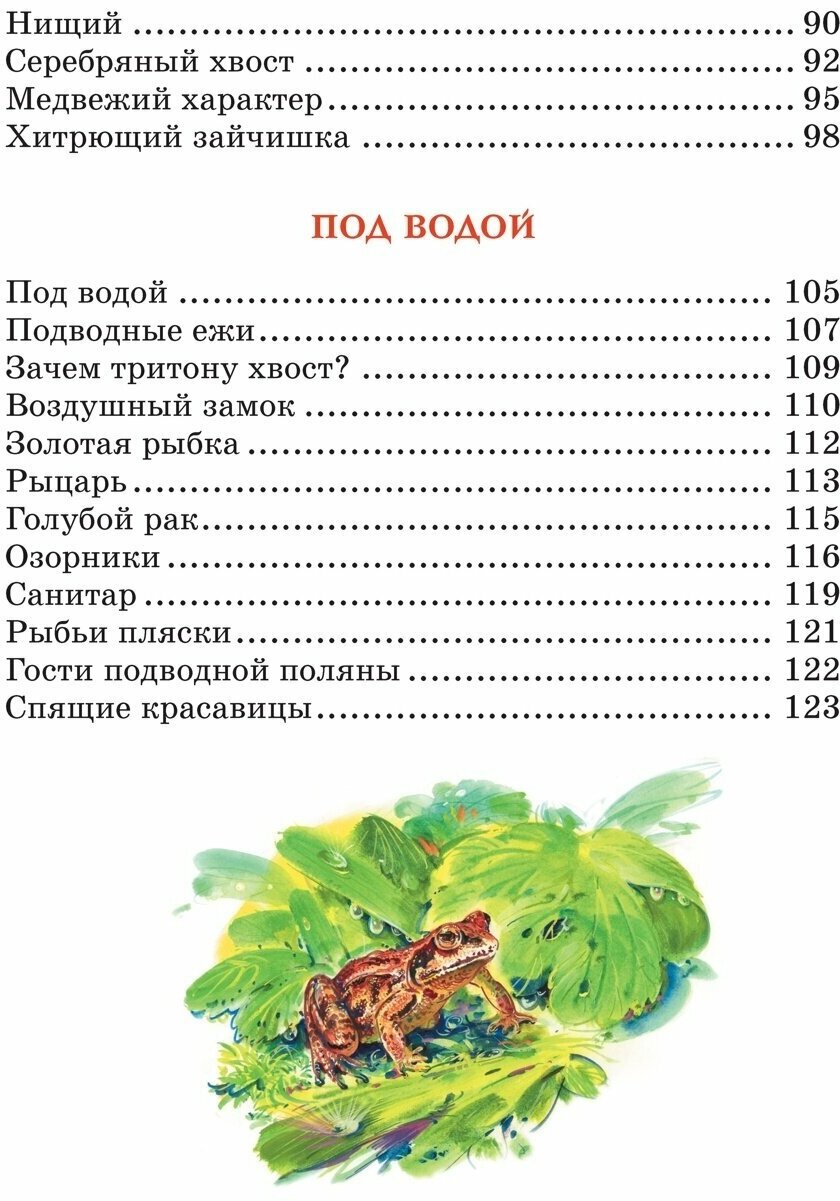 Лесные тайнички (Николай Сладков) - фото №11