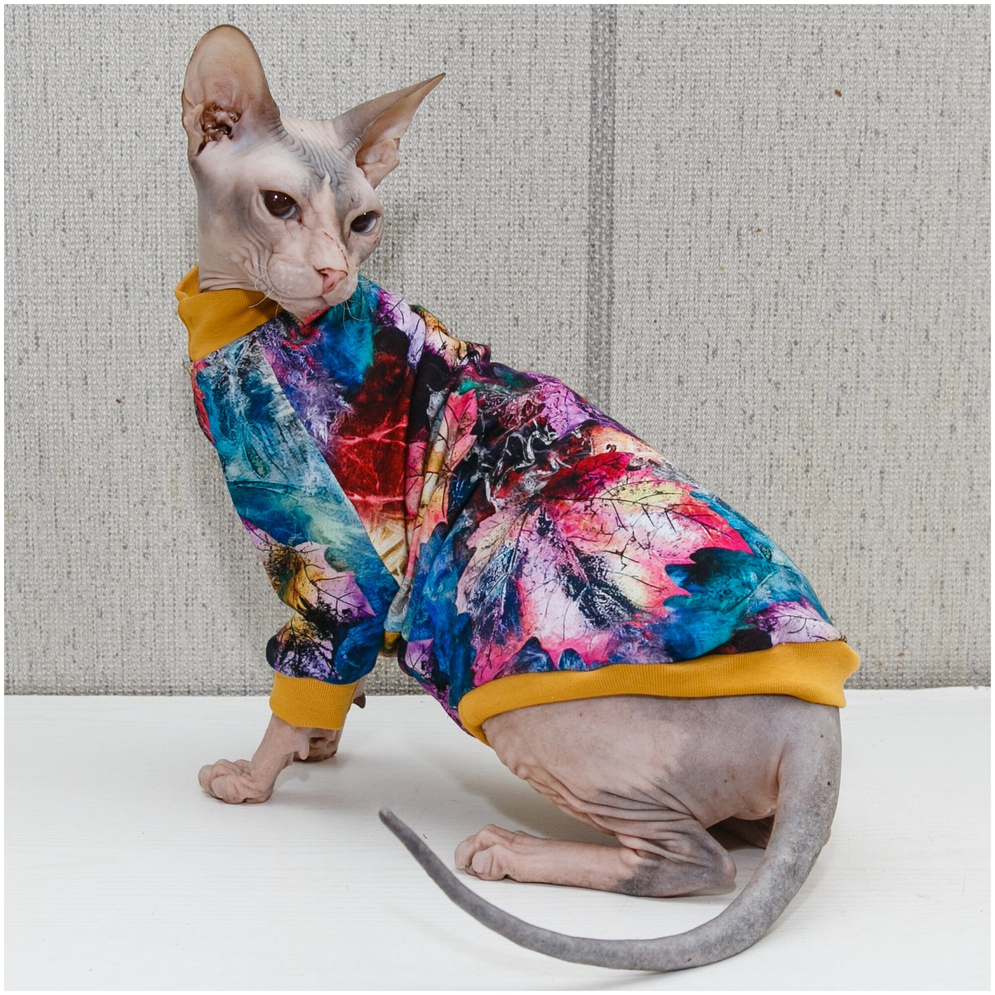 Одежда для кошек Элегантный Хвост, кофта Яркие Листья , размер S