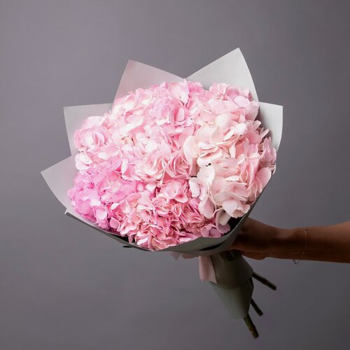 Изображение товара Букет Гортензия "Премиум Пинк" 5 шт Высота 60 см в коробке и аквабоксе от "Простоцветы"