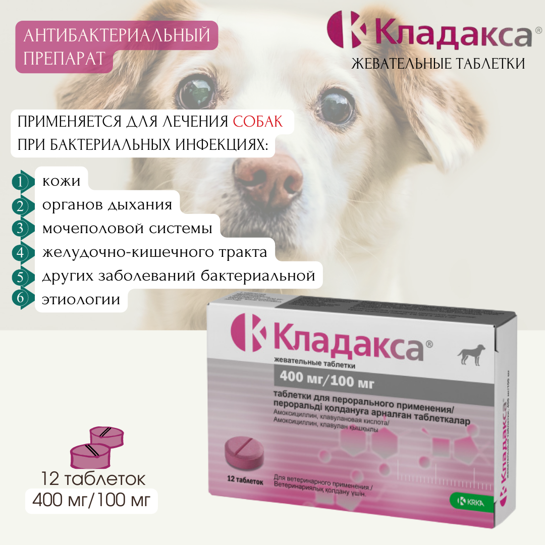 Кладакса® жевательные таблетки 500 мг (400 мг/100 мг)