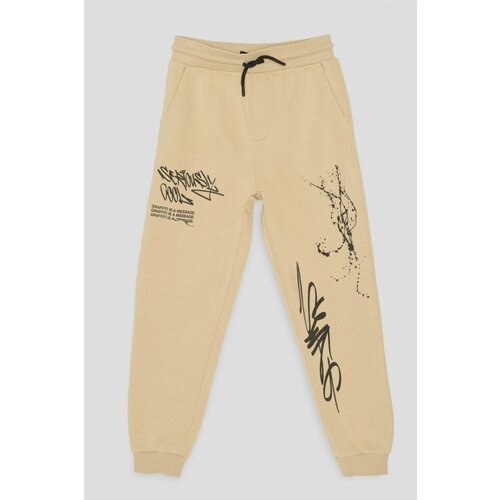 фото Брюки reporter young, размер 152, мультиколор