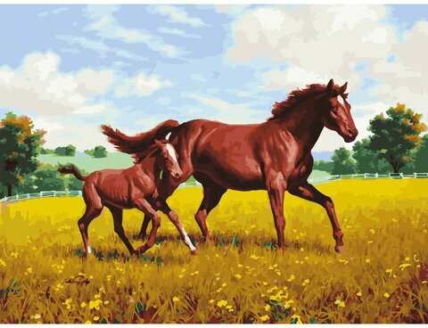 Картина по номерам 40х50 см, остров сокровищ "Лошади на лугу", на подрамнике, акриловые краски, 3 кисти, 662464