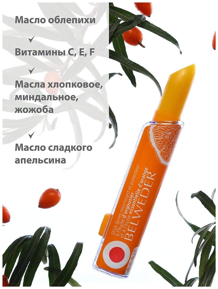Бальзам для губ питательно-защитный с маслами апельсина и облепихи