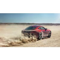 Картина на холсте 60x110 Альянс Лес "Песок Ягуар Jaguar Пустыня" на подрамнике / интерьер/ декор