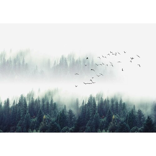 Фотопанно DeliceDecor П 020 М Туманный лес 100х70см
