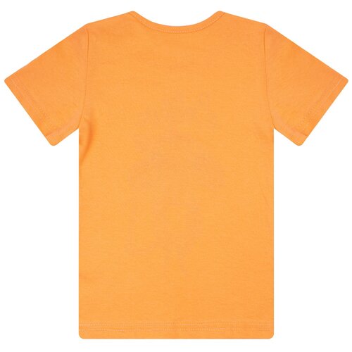 фото Футболка для девочки фд-1610, утенок, рост 86-92 см, оранжевый_мышка