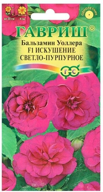 Семена цветов Гавриш Бальзамин Уоллера "Искушение светло-пурпурное" F1, 5 шт