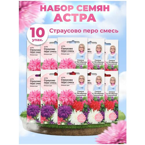 Набор семян Астра Страусово перо смесь 0.3 г - 10 уп.