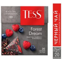 Чай черный Tess Forest dream в пирамидках, 20 пак.