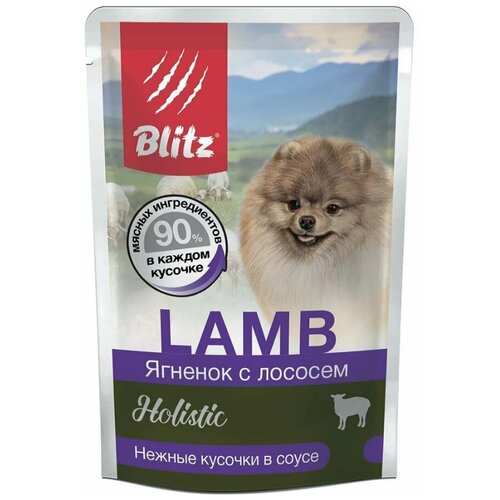 BLITZ DOG Holistic LAMB ягненок/лосось, для собак мелких пород, кусочки в соусе, 24 шт. по 85 гр.