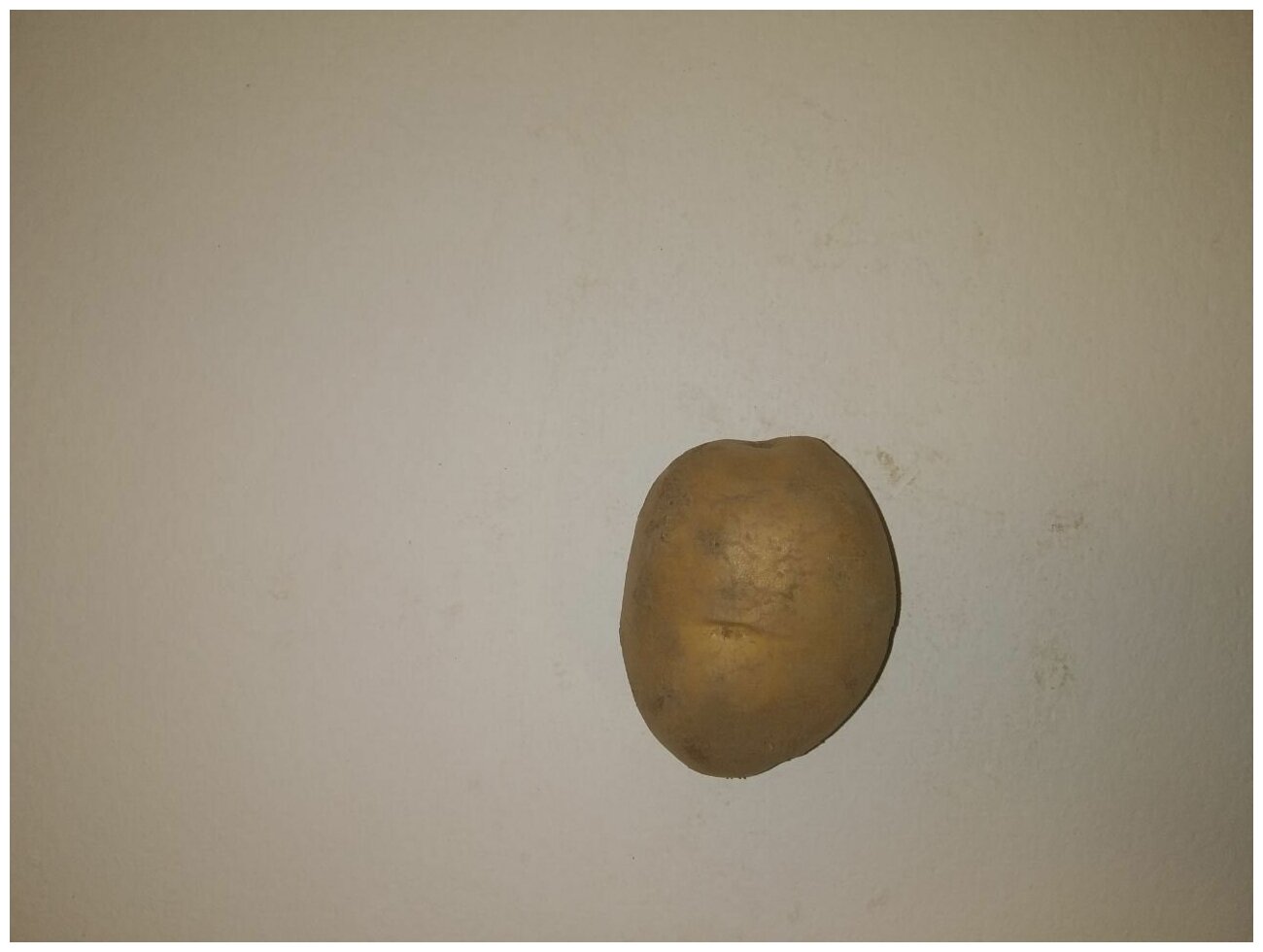Картофель семенной бельмондо клубни 2 кг - фотография № 4