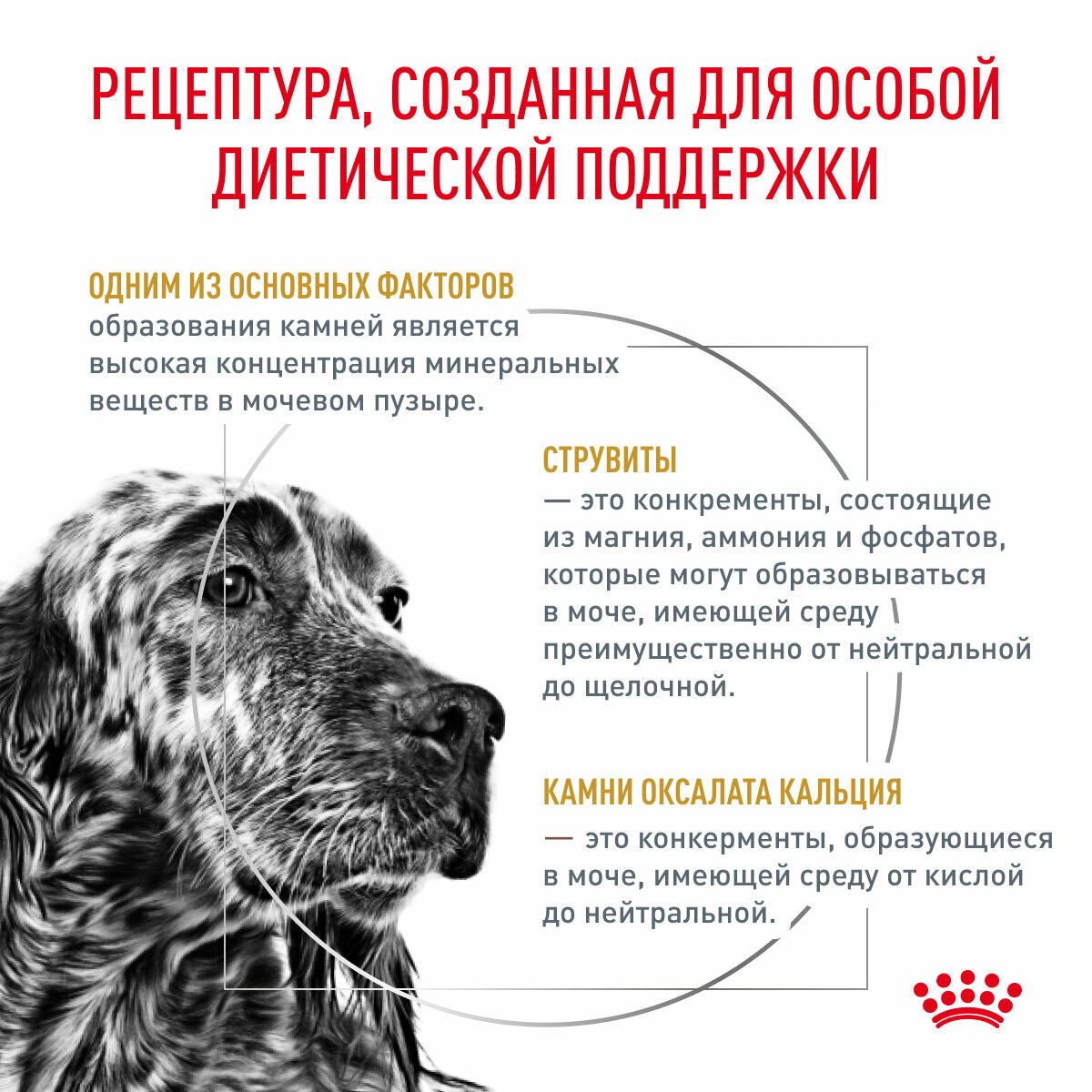 Сухой корм для собак Royal Canin Urinary S/O LP18 при лечении МКБ 13кг - фото №3