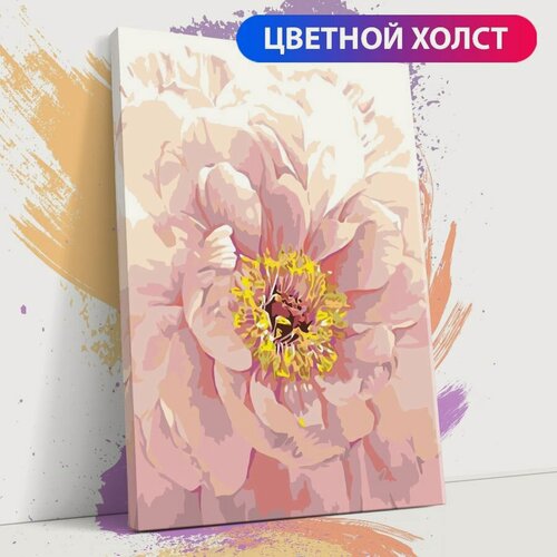 Изображение товара Картина по номерам на холсте с подрамником, "Цветы. Розовый пион", 30х40 см