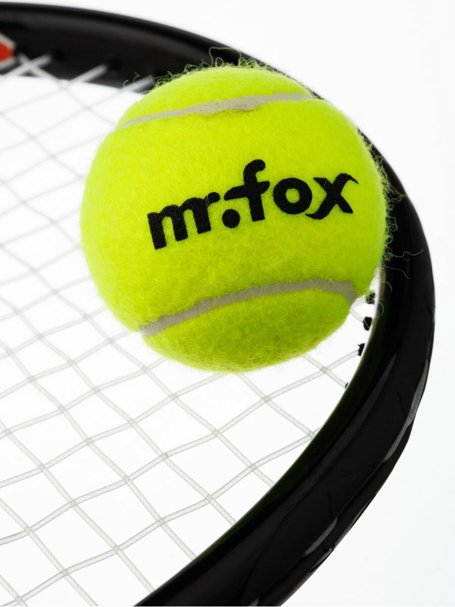 Мяч для большого тенниса Mr.Fox, 2 шт