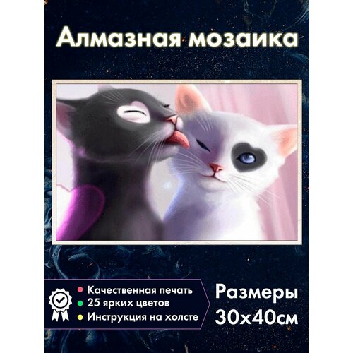 фото Алмазная мозаика котики черный кот и белая кошка алмазная вышивка 30x40 см, с лотком и стилусом, без подрамника fantasy earth