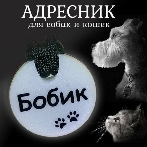 Адресник "Непотеряшка" 3,7 см. жемчужный для собак и кошек с регулируемым шнурком