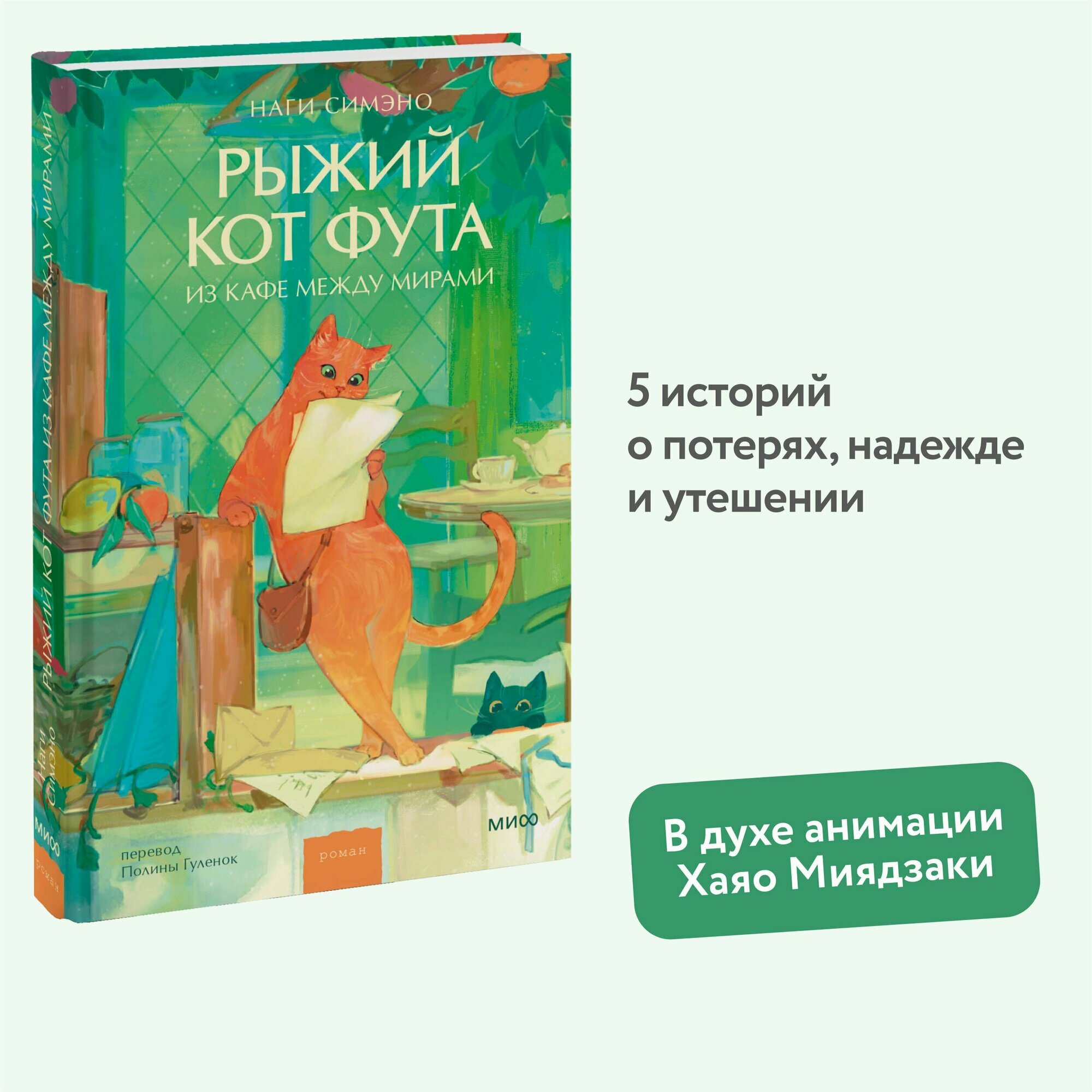 Рыжий кот Фута из кафе между мирами