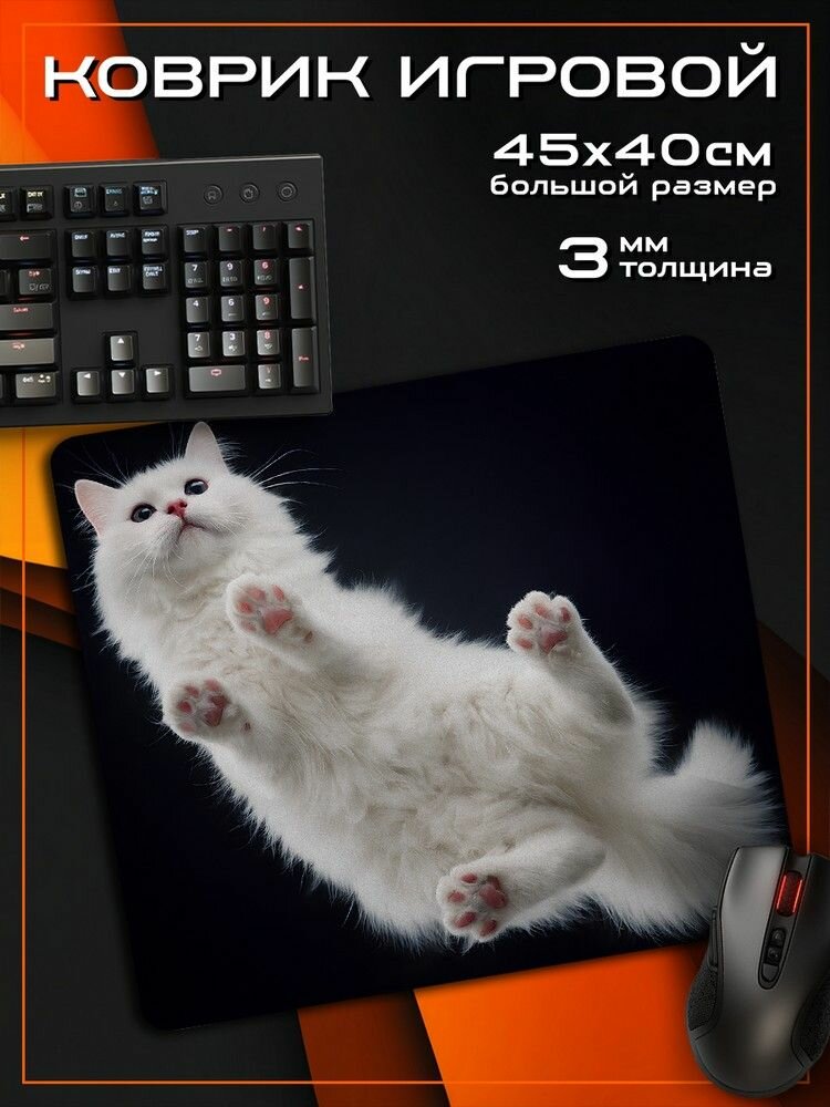 Коврик для мыши 45x40 с принтом Белая кошка (питомец, лапки, милота) - 52511302