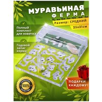 Средняя муравьиная ферма максимальный комплект, зеленый