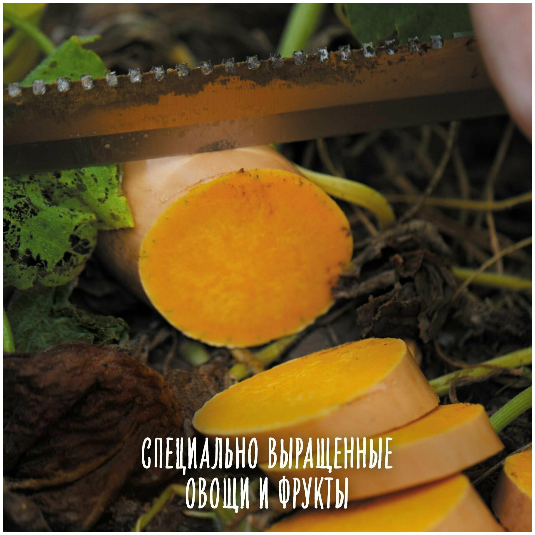 Gerber® Organic Пшенично-овсяные снеки с томатом и морковью, 35г - фото №7