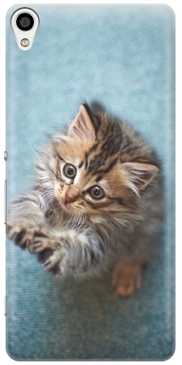 RE: PA Накладка Transparent для Sony Xperia XA с принтом "Котёнок на голубом"