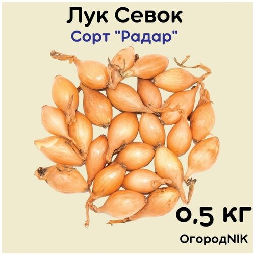 Лук севок сорт Радар 0.5 кг. лук озимый радар 0 5кг уп