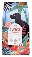 FLORIDA сухой корм для взрослых собак крупных пород с ягненком и грушей - 3 кг