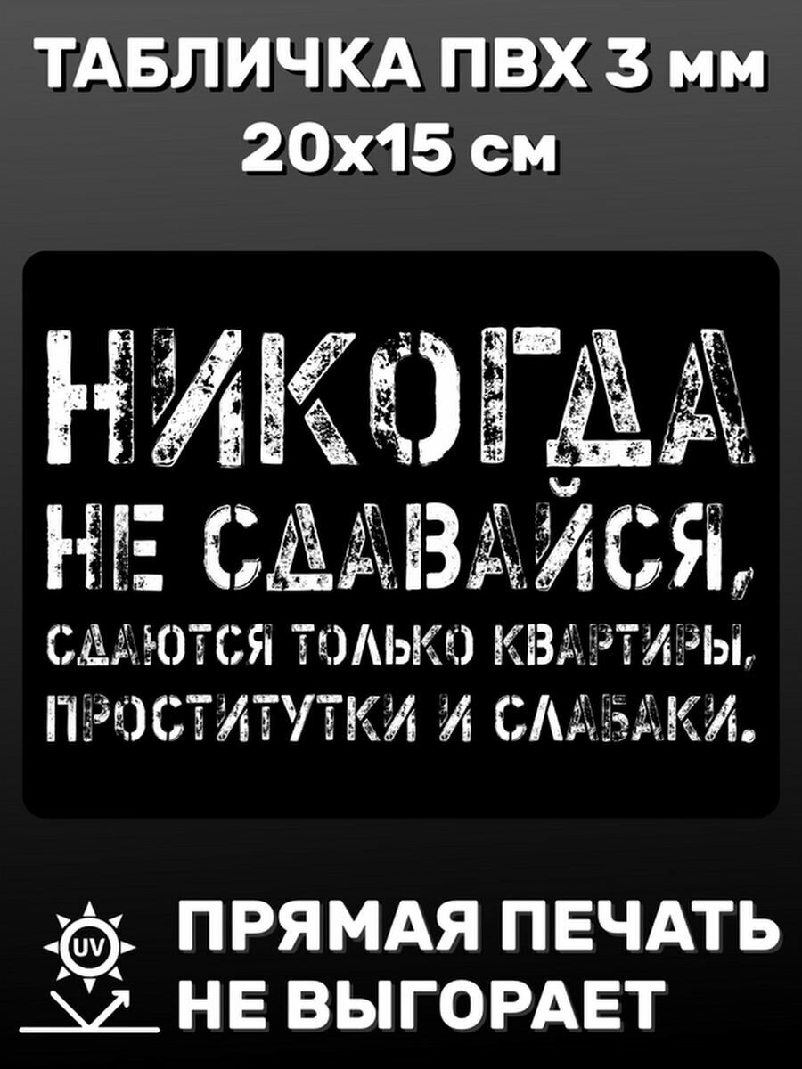 Табличка информационная Никогда не сдавайся 20х15 см