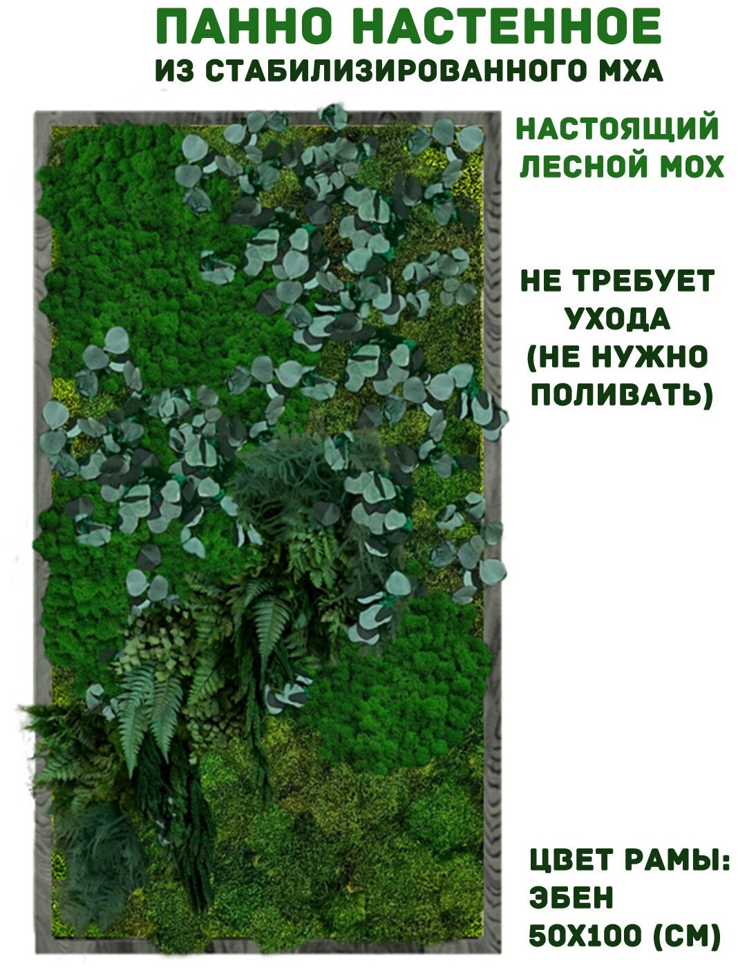 Панно из стабилизированно мха GardenGo в рамке цвета эбен, 50х100 см, цвет мха зеленый