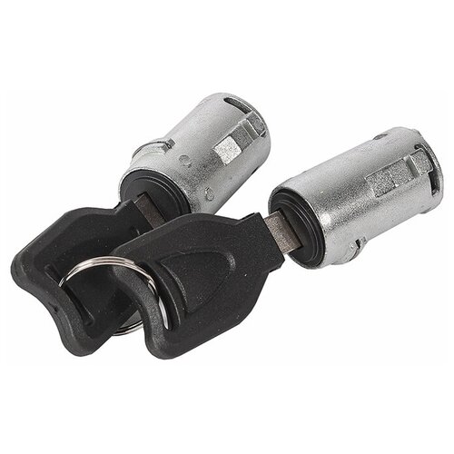 Личинка замка двери RENAULT FH12, FM12 (2 личинки, 2 ключа)