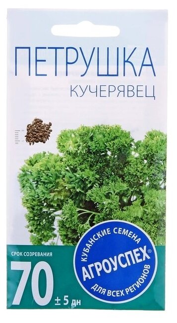 Семена Петрушка Кучерявец кудрявая, 2г