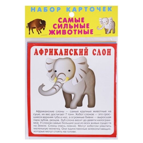 Книга Искатель Самые сильные животные, 16.5х17 см, мультиколор самые сильные животные искатель россия