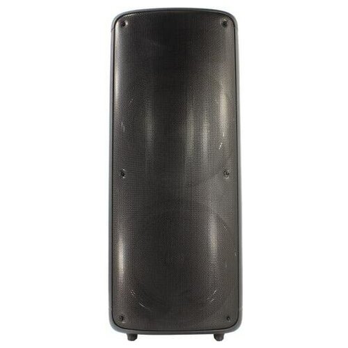 Крупная переносная колонка Bluetooth Nakatomi GS-59 1941900₽