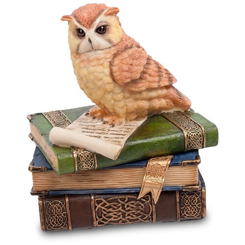 фото Ws-719 шкатулка сова на книгах veronese