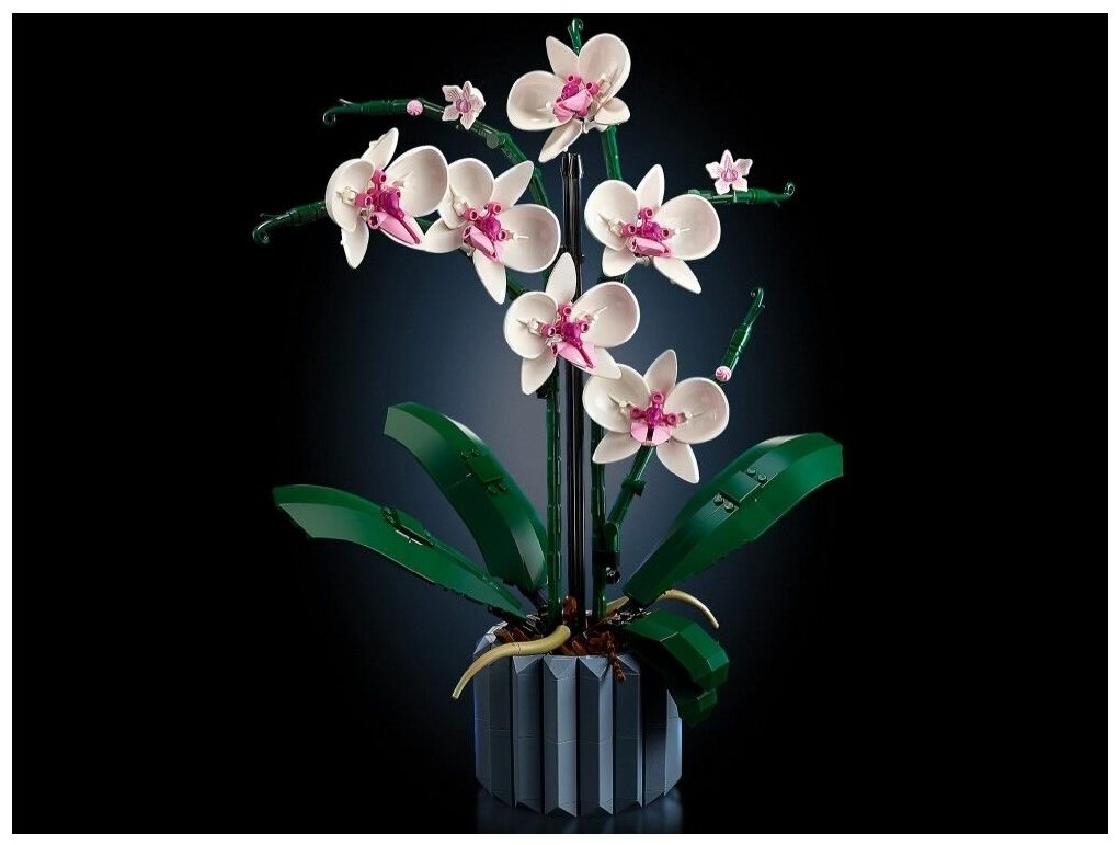 Конструктор для девочек "Букет Цветов" 608 деталей / цветок Орхидея / совместим со всеми конструкторами