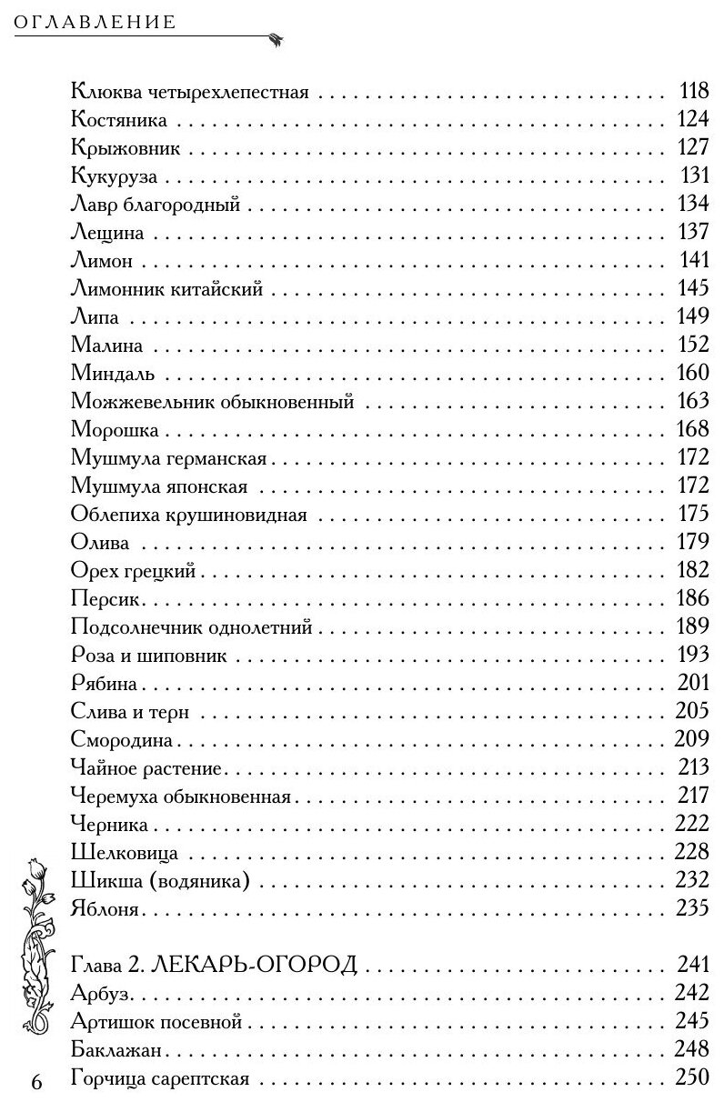 Натуральная аптечка. Ягоды, овощи, фрукты, пряные травы - фото №6