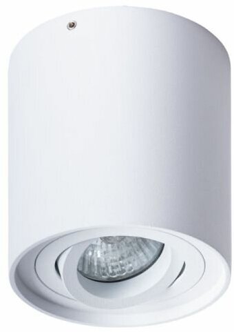 Потолочный светильник Arte Lamp Falcon A5645PL-1WH