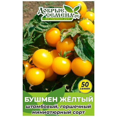 Семена томата Бушмен Жёлтый - 50 шт - Добрые Семена. ру малина штамбовая таруса
