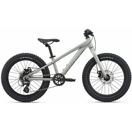 Детский велосипед GIANT STP 20 Серый One Size giant xtc jr 20 lite 2021 велосипед детский 20 цвет blue ashes one size