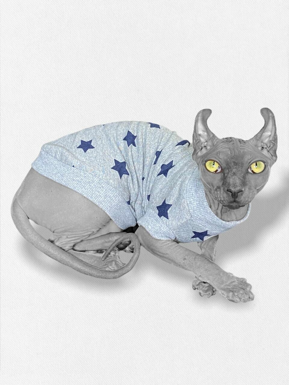 Футболка свитер для Сфинксов Кошки Кота / XL / Звезды - фотография № 3