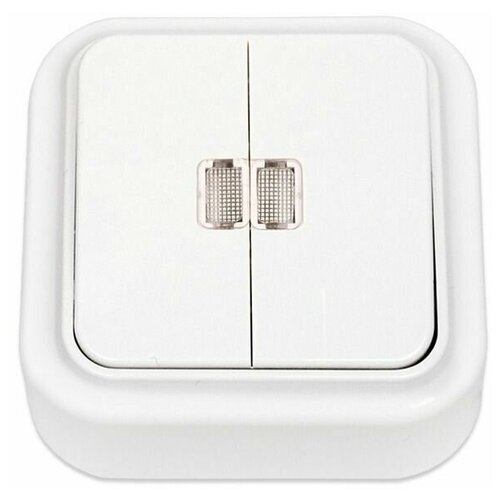 Минск Выключатель 2-х клавишный о/п А510-215 индивидуальный