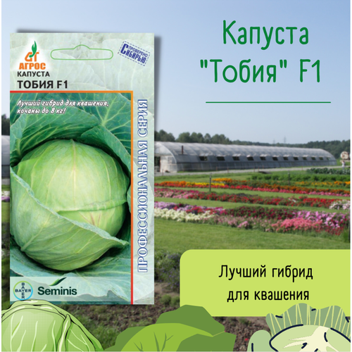 Семена Капуста б/к ТобияF1 15 семян.