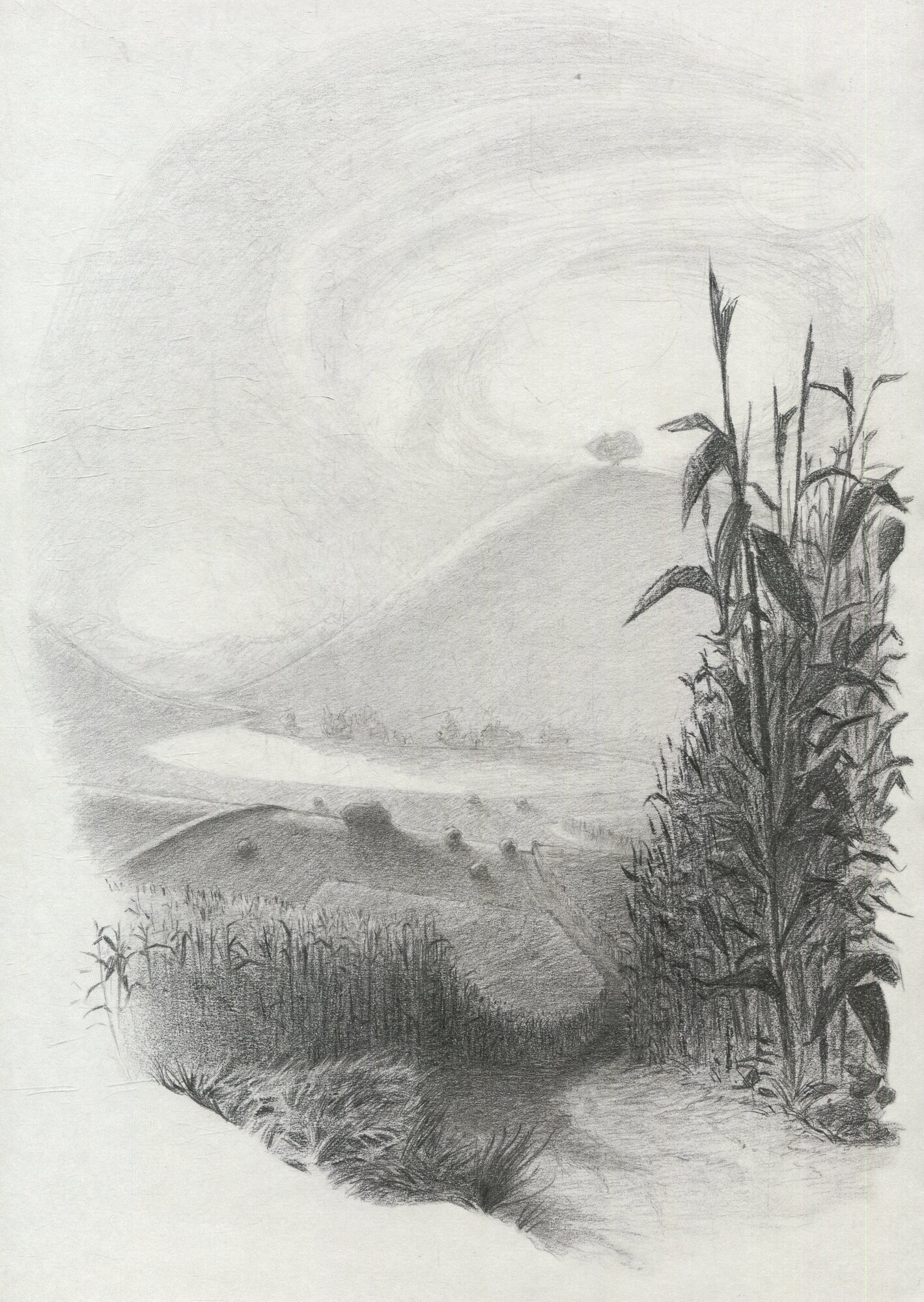 Заяц и кролики — фото 1