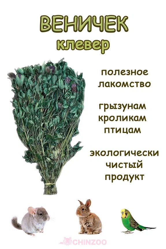 Лакомство для грызунов и кроликов ChinZoo веник из сушеного клевера букет-погремушка
