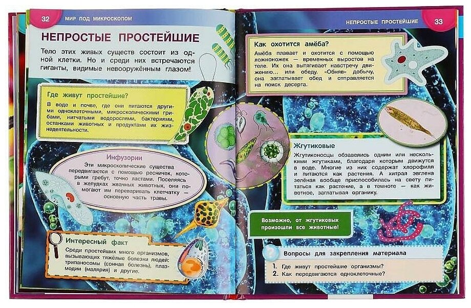 Мир Под Микроскопом. Энциклопедия А4 С Развивающими Заданиями. - фото №15